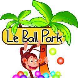 Parcs et Activités de loisirs LE BALL PARK - 1 - 
