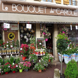 Le Bouquet De Carole Septeuil