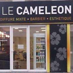 Coiffeur Le Caméléon Montaigne - salon de coiffure Brest - 1 - 