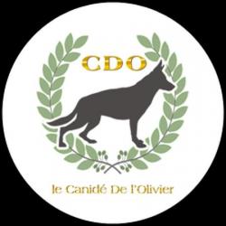 Cours et formations Le Canidé De L'olivier - 1 - 