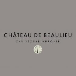 Hôtel et autre hébergement Le Château de Beaulieu - 1 - 