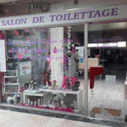 Salon de toilettage LE CHIEN MIGNON - 1 - Salon De Toilettage Pour Chiens Et Chats, Le Chien Mignon, à Rambouillet (78120) - 