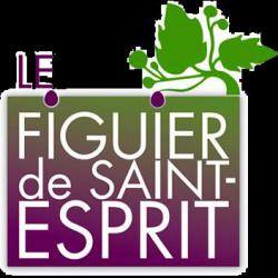 Restaurant Le Figuier de Saint Esprit - 1 - 