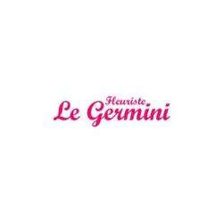 Fleuriste Le Germini - 1 - Le Germini - Fleuriste Casteljaloux - 