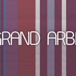 Restaurant LE GRAND ARBRE - 1 - 