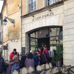 Le Lion D'arles Arles