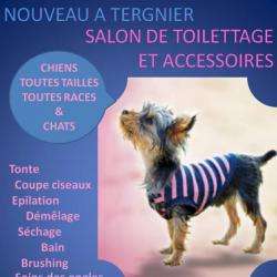 Toilettage Le Look Canin Tergnier
