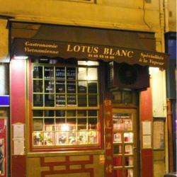 Le Lotus Blanc Paris