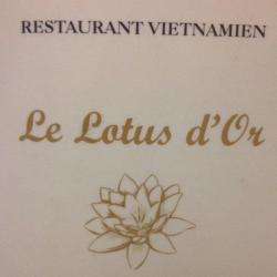Le Lotus D'or Paris