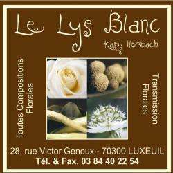Fleuriste Le Lys Blanc - 1 - 