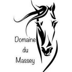 Le Massey-écurie Propriétaire Saint Cricq Du Gave