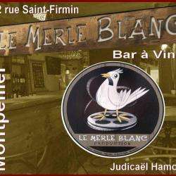 Le Merle Blanc Montpellier
