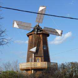 Site touristique Le moulin de Michel - 1 - 5000 Heures De Travail Pour Ce Moulin à Vent - 