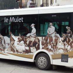 Agence de voyage Le Mulet de Chamonix - 1 - 