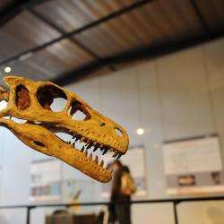 Musée Le Musée des Dinosaures - 1 - Crédit Photo : Page Facebook, Le Musée Des Dinosaures - 