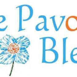 Fleuriste le pavot bleu - 1 - 