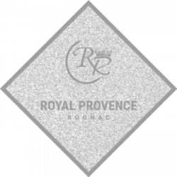 Hôtel et autre hébergement Le Royal Provence - 1 - 