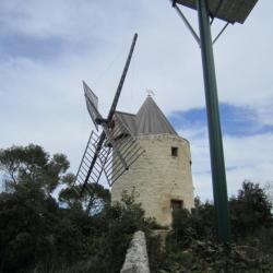 Site touristique Le sentier des moulins d'Alphonse Daudet - 1 - Un Des Moulins - 