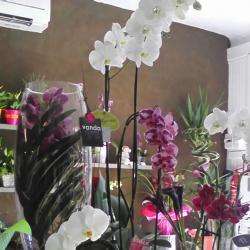 Fleuriste le temps des fleurs Odile pellerin - 1 - Orchidées - 