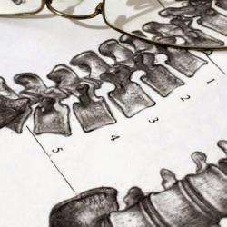 Ostéopathe LENEUTRE Pierrick - 1 - 