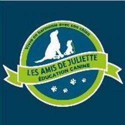 Cours et formations Les Amis De Juliette - 1 - 