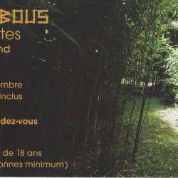 Les Bambous Des Marmettes Fontguenand