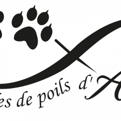 Animalerie Les Bouilles De Poils D'avelana - 1 - 