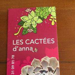 Les Cactus D'anna Montpellier