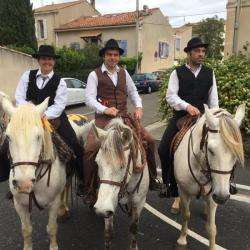 Les Cavaliers Du Plateau Arles