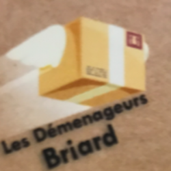 Constructeur Les Déménageurs Briard - 1 - 