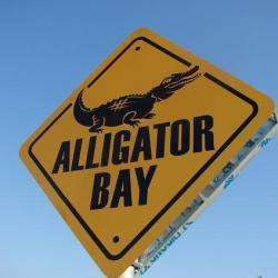 Parc animalier alligator bay - 1 - 