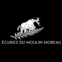 Centre équestre Ecuries Du Moulin Moreau - 1 - 