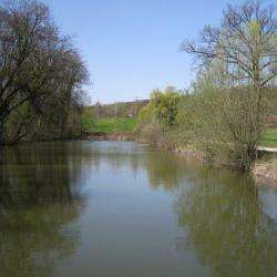 Les étangs De La Forêt De Bondy Clichy Sous Bois
