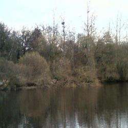 Les étangs De Saint André Thiers Sur Thève