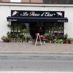 Centres commerciaux et grands magasins Les Fleurs D'elisa - 1 - Boutique Les Fleurs D'elisa, à Plaisance Sur Touch (31830) - 