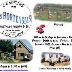 Camping Les Hortensias - 3 étoiles Loctudy