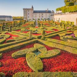 Parcs et Activités de loisirs Les Jardins du château de Villandry - 1 - 