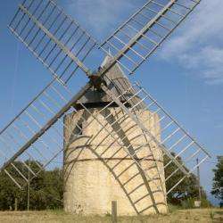 Site touristique Les moulins de Paillas - 1 - 