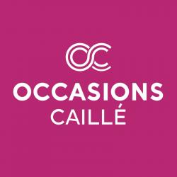 Concessionnaire Les Occasions Caillé - 1 - 