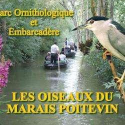 Les Oiseaux Du Marais Poitevin