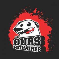 Les Ours Molaires Montpellier