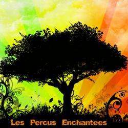 Art et artisanat Les Percus Enchantées - 1 - 