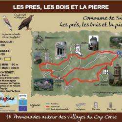 Les Prés, Les Bois Et La Pierre Sisco