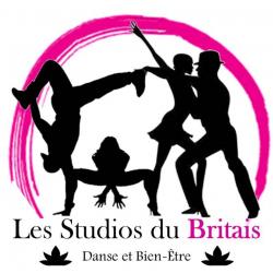 Ecole de Danse Les Studios du Britais - 1 - Les Studios Du Britais à Laval Cours Collectifs Pour Enfant Et Adulte Danse Et Bien-être - 