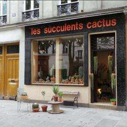 Les Succulents Cactus Paris