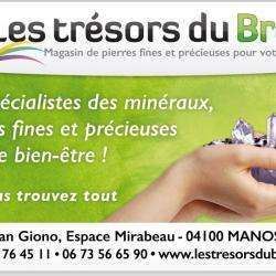 Centres commerciaux et grands magasins Les Tresors du Bresil - 1 - 