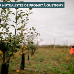 Les Vergers Bios De Promut - Quetigny Quétigny
