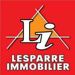 Agence immobilière LESPARRE IMMOBILIER - 1 - 