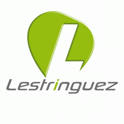 Concessionnaire Lestringuez - 1 - 