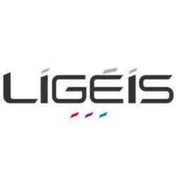 Agence immobilière LIGEIS - 1 - 